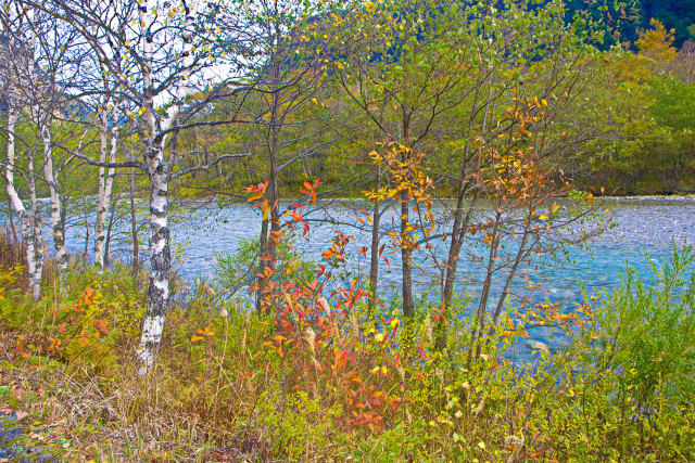 梓川沿いの紅葉