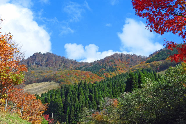 紅葉の季節 氷ノ山