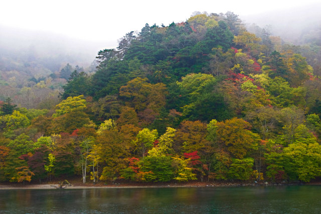 中禅寺湖の紅葉