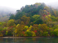 中禅寺湖の紅葉