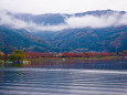 河口湖北岸のもみじ