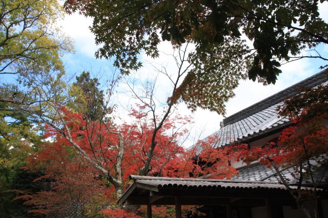 入館禁止の亀の井別荘