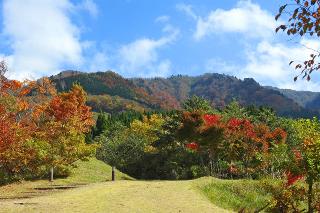 紅葉の季節 氷ノ山2