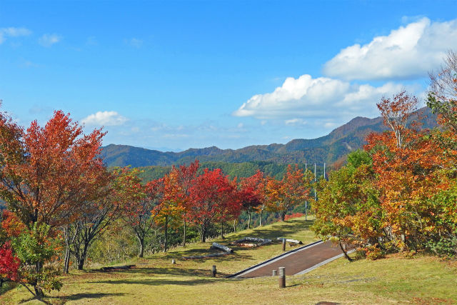 紅葉の季節 氷ノ山3