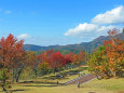 紅葉の季節 氷ノ山3