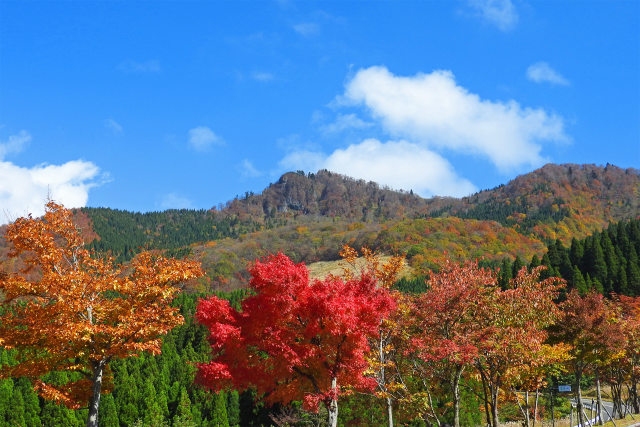 紅葉の季節 氷ノ山4