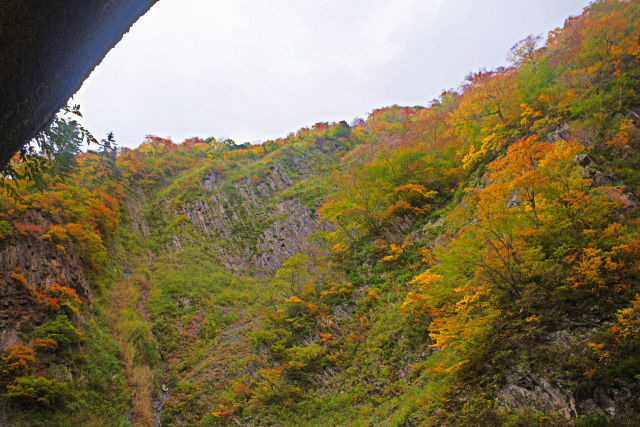 渓谷トンネルから見上げる紅葉