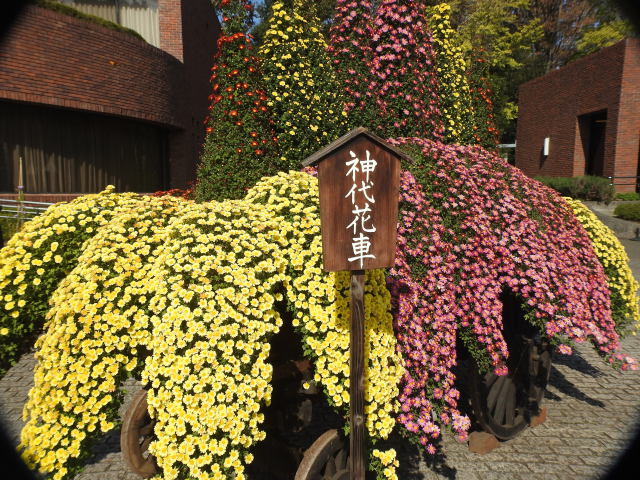 神代花車