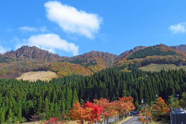 紅葉の季節 氷ノ山6