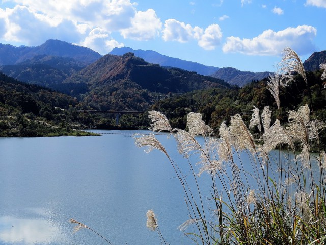 大谷ダム湖