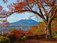 秋の富士山