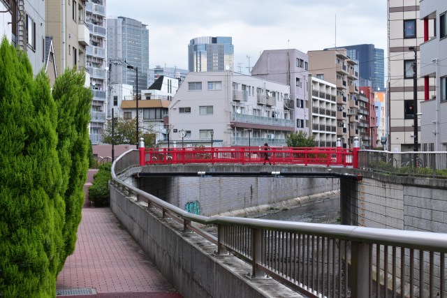 神田川 中野新橋