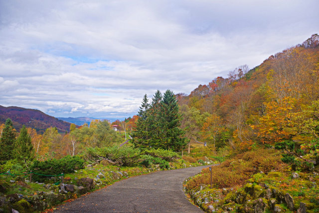 アルプの里の紅葉