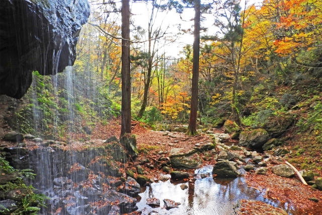 渓流の紅葉 岩井滝