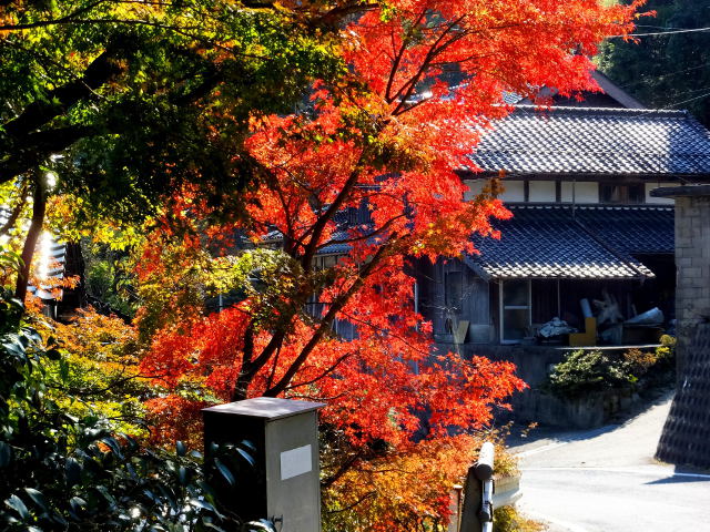 山間集落の紅葉