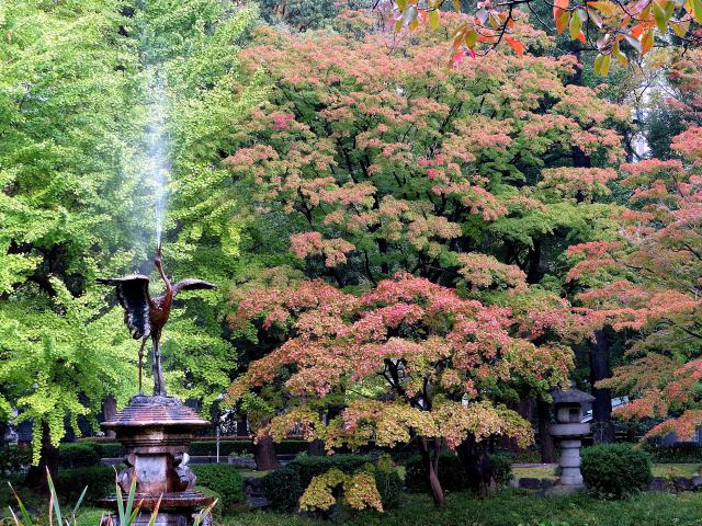 紅葉が進む日比谷公園