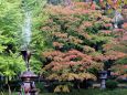 紅葉が進む日比谷公園