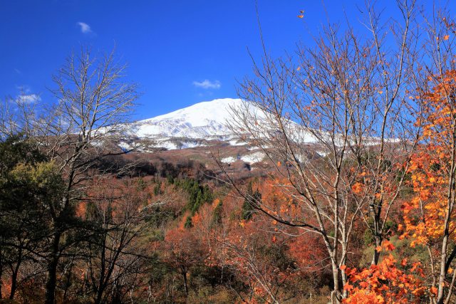 秋の鳥海山