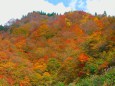 谷峠の紅葉#1