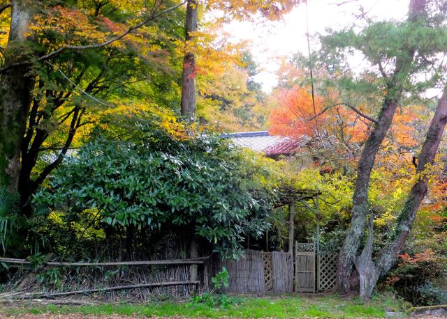 秋が訪れた山里