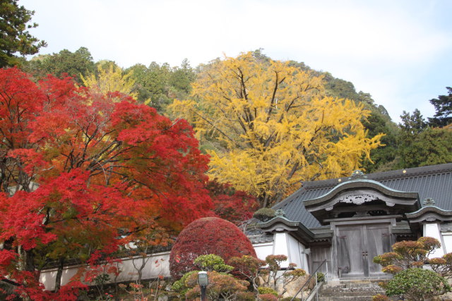 大窪寺の