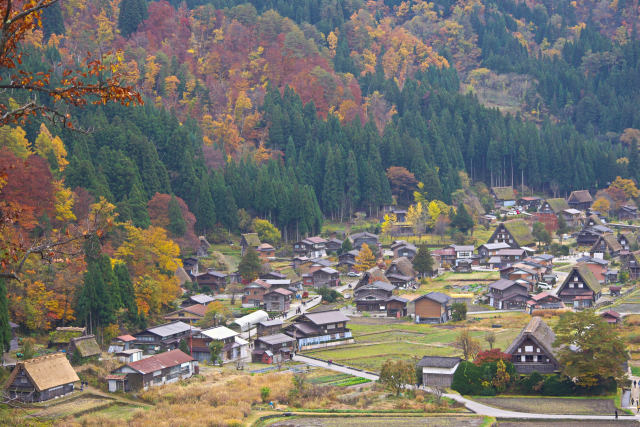 秋の白川郷