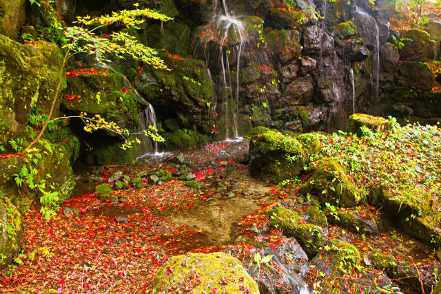 水辺の散り紅葉