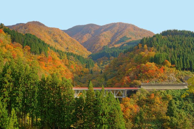 秋の東山橋