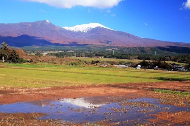 秋の鳥海山