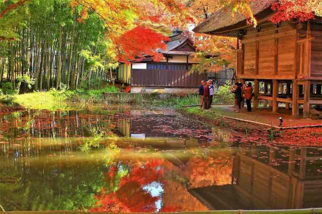 中尊寺 池と紅葉