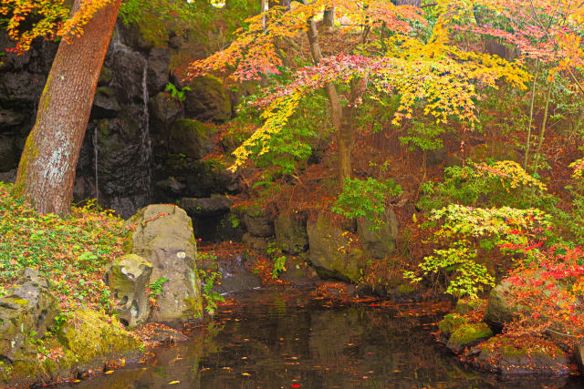 水辺の紅葉