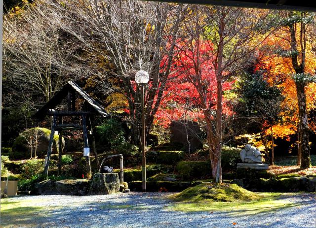 九重の名水あいのせ茶屋の紅葉