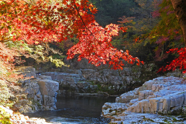 渓流の紅葉 奥津渓谷6