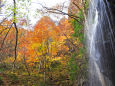 渓流の紅葉 岩井滝2