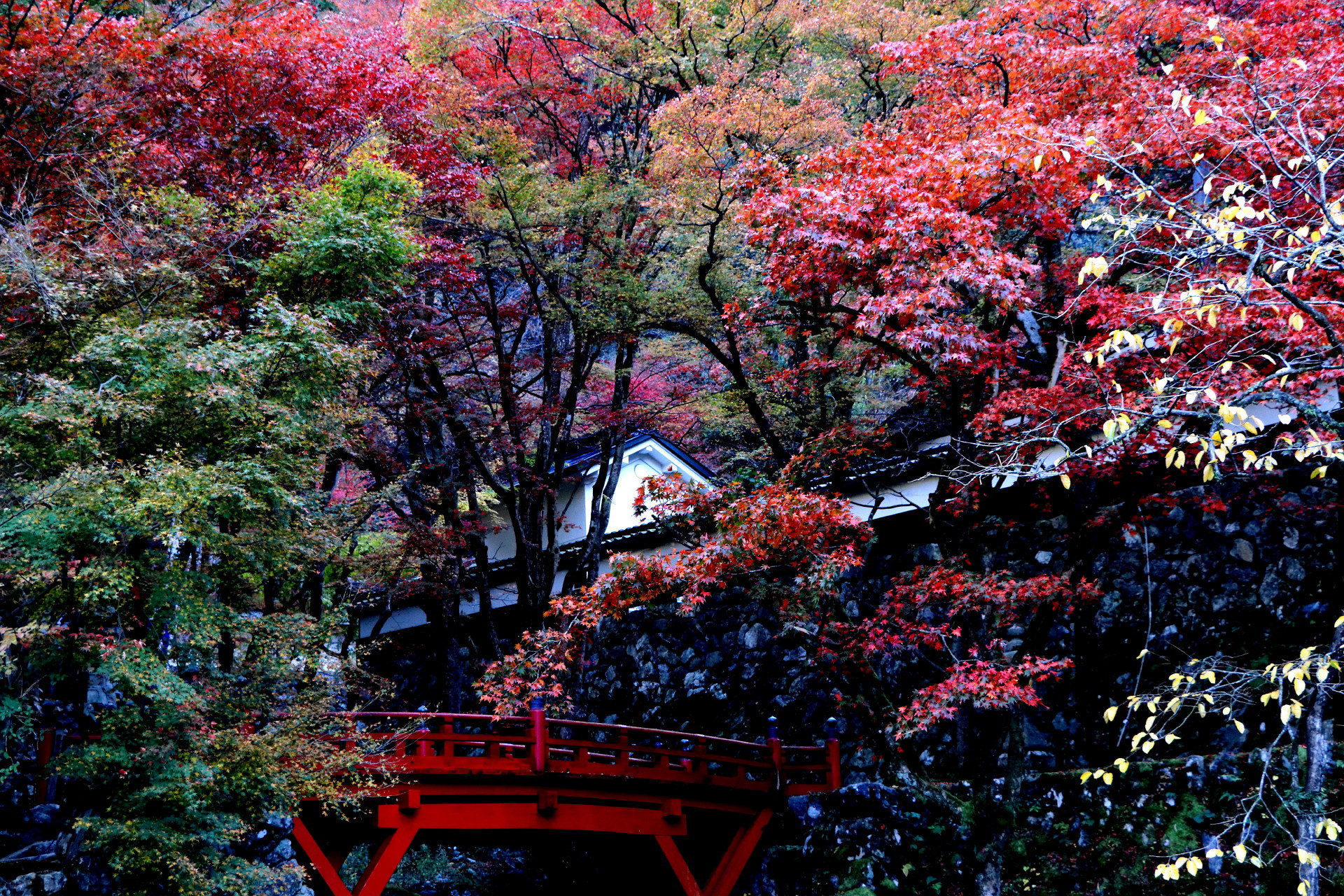 日本の風景 横蔵寺紅葉 壁紙19x1280 壁紙館