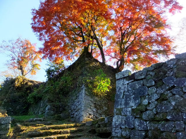 城址石垣の紅葉