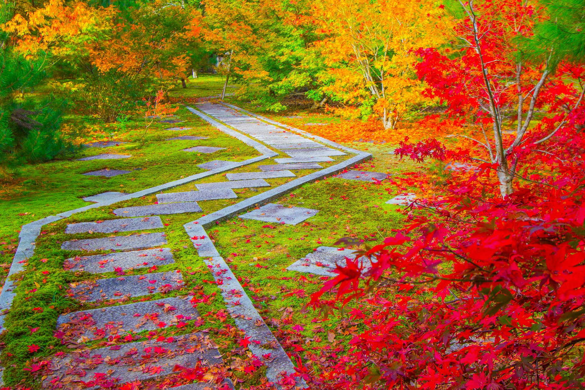 日本の風景 大智寺 無相の庭の紅葉 壁紙19x1280 壁紙館