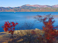 山中湖 湖畔の紅葉