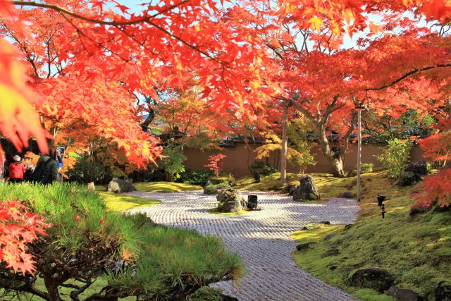 松島 円通院