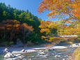 渓谷沿いの紅葉