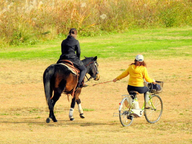 乗馬を楽しむ親子