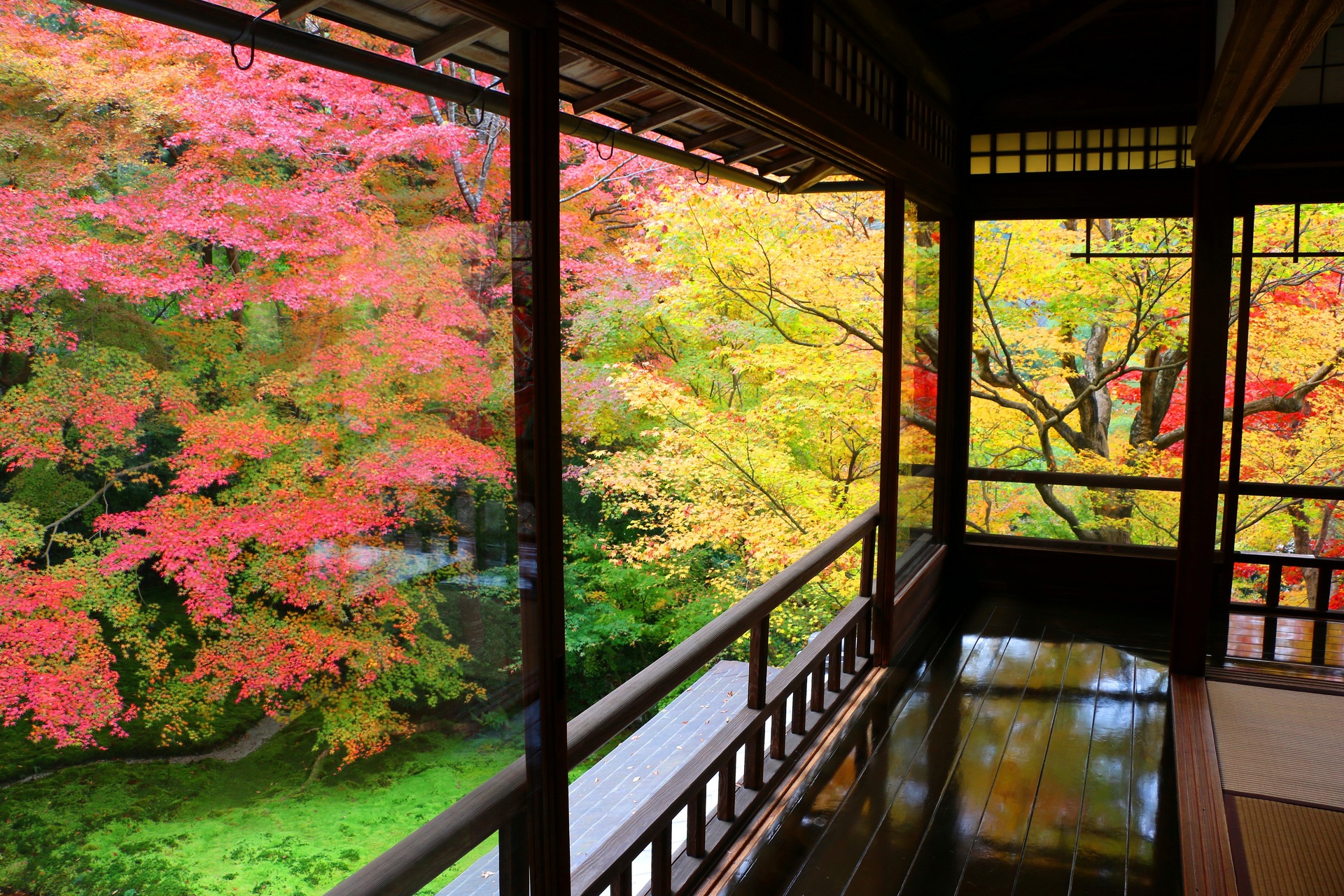 日本の風景 瑠璃光院紅葉 壁紙19x1280 壁紙館