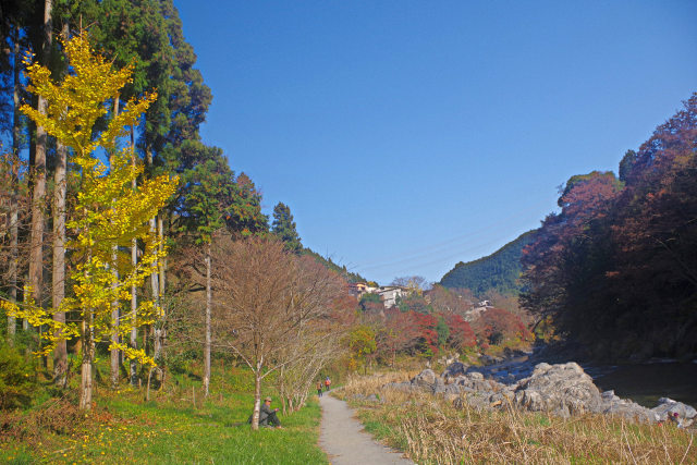 渓谷沿いの遊歩道