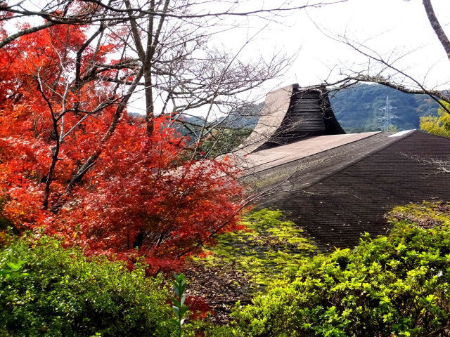 紅葉と大きな屋根