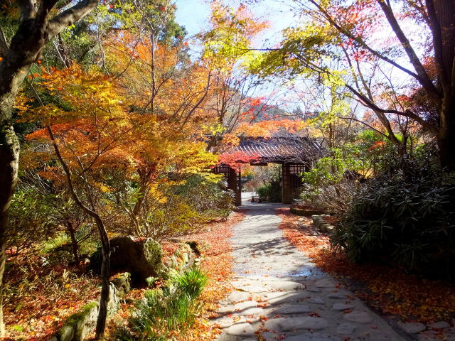 山女魚山荘紅葉の門