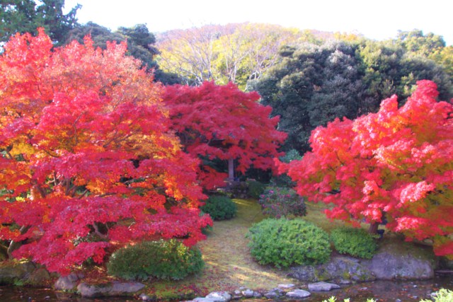 栗林公園の紅葉