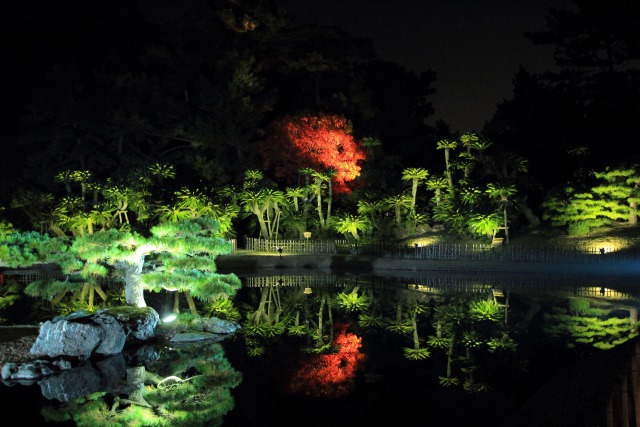 公園のライトアップ