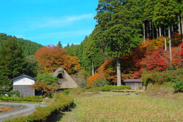 秋の千古の家