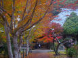 房総の古刹 小松寺の紅葉