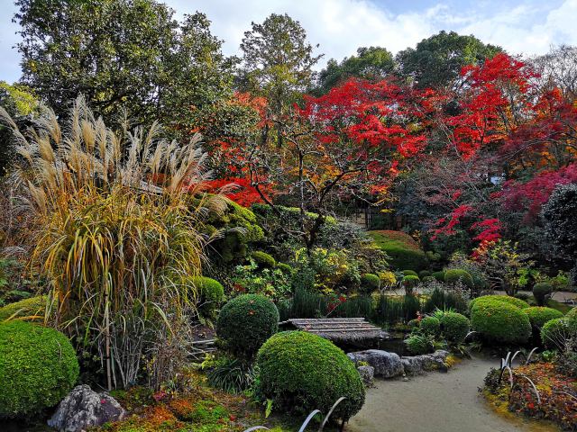 詩仙堂紅葉